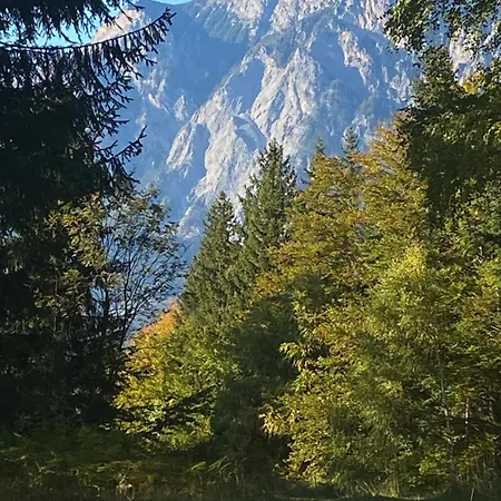 Berghaus Christel - Bij Skilift - Grote Tuin Met Bergbeek * Arnoldstein