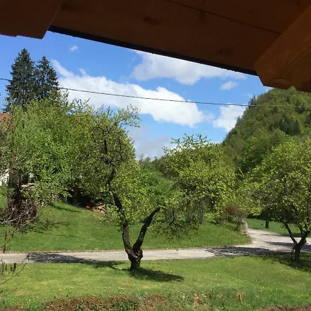 Tatil Evi Berghaus Christel - Bij Skilift - Grote Tuin Met Bergbeek