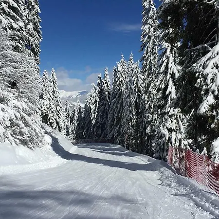 Сasa de vacaciones Berghaus Christel - Bij Skilift - Grote Tuin Met Bergbeek