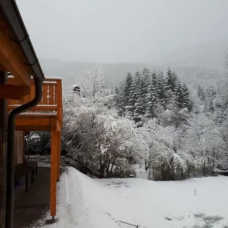 Berghaus Christel - Bij Skilift - Grote Tuin Met Bergbeek