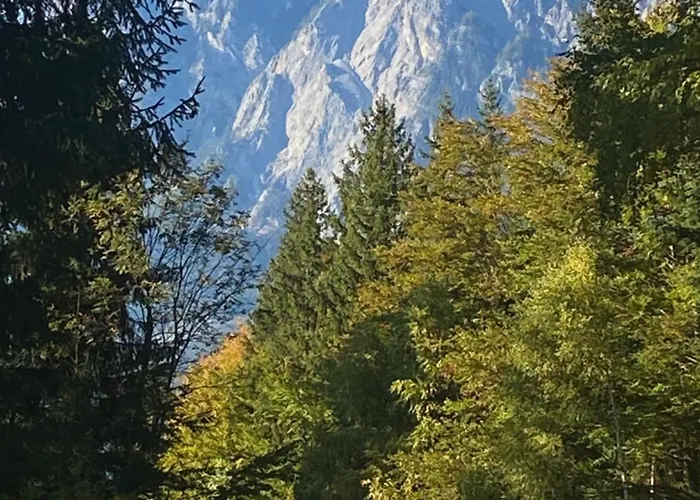 Berghaus Christel - Bij Skilift - Grote Tuin Met Bergbeek * Arnoldstein