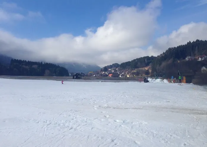 Berghaus Christel - Bij Skilift - Grote Tuin Met Bergbeek Arnoldstein