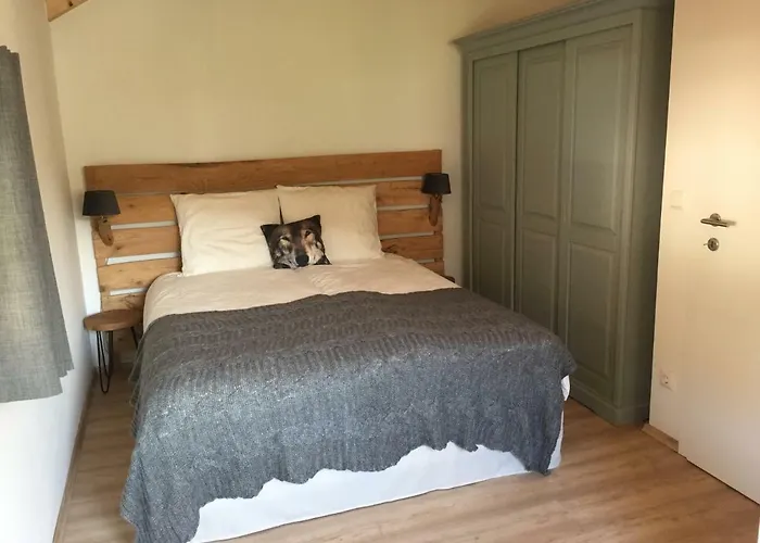 Holiday home Berghaus Christel - Bij Skilift - Grote Tuin Met Bergbeek