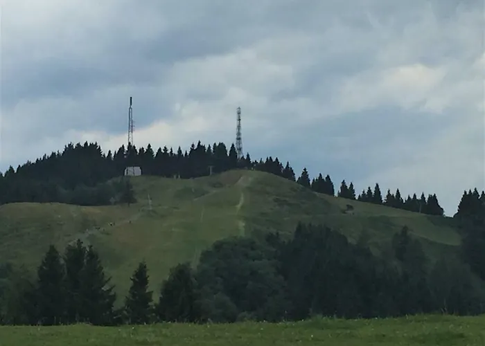 Berghaus Christel - Bij Skilift - Grote Tuin Met Bergbeek