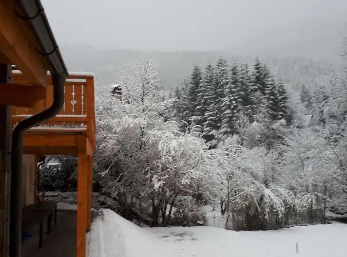 Berghaus Christel - Bij Skilift - Grote Tuin Met Bergbeek