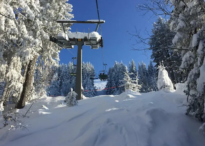 Berghaus Christel - Bij Skilift - Grote Tuin Met Bergbeek Dom wakacyjny