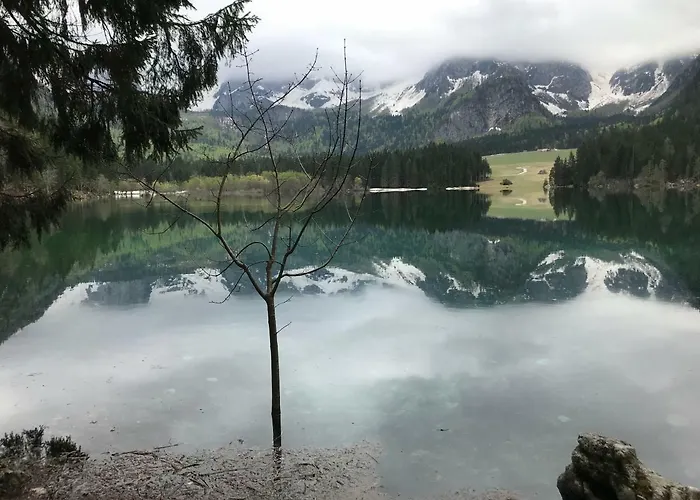 Holiday home Berghaus Christel - Bij Skilift - Grote Tuin Met Bergbeek *