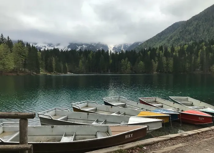 Berghaus Christel - Bij Skilift - Grote Tuin Met Bergbeek *